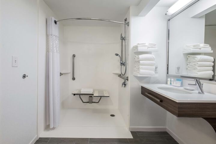 1 King Mobility Accessible Roll in Shower with Sofa Bed (13 of 22)