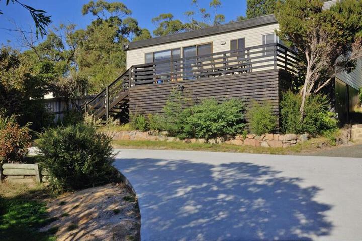 Kunzea at Freycinet