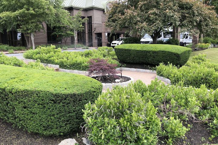 Terrace/Patio 12 of 49