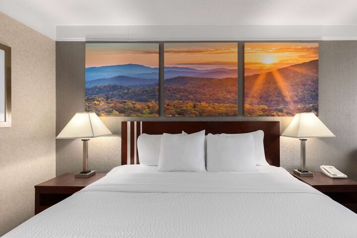 1 King Bed (5 of 23)