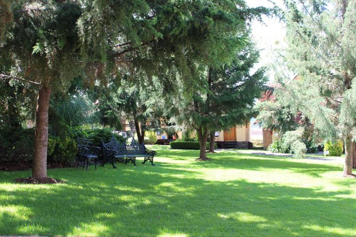 Photo 25