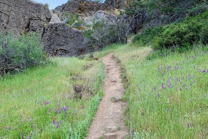 Hiking