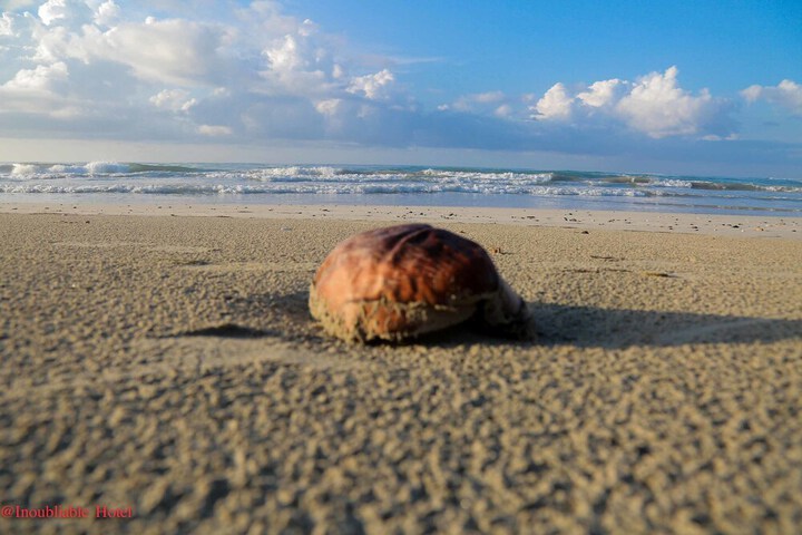 Beach 51 of 78