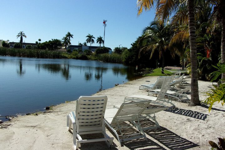 Property Grounds 84 of 90