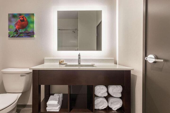 1 King Bed Accessible Room Bathtub with Grab Bars Sofa Bed (9 of 14)