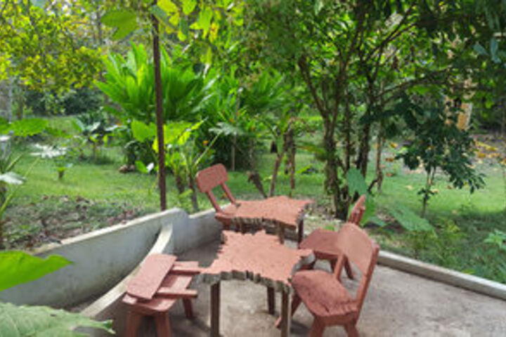 Terrace/Patio 27 of 28