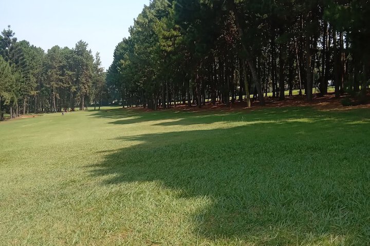 Golf 182 of 182