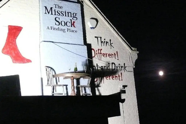 Image of THE MISSING SOCK