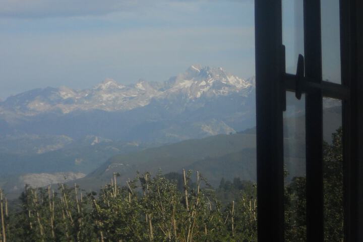 View from room