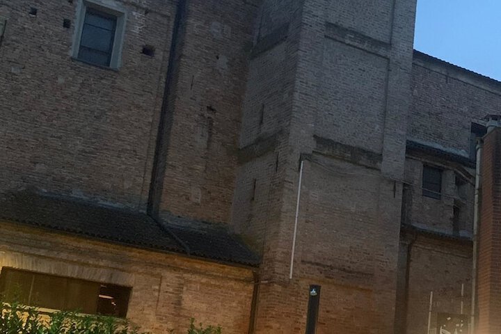 Wellness Treatments