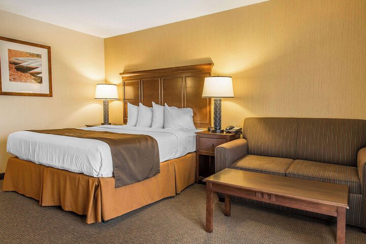 Standard | King Bed (17 of 23)