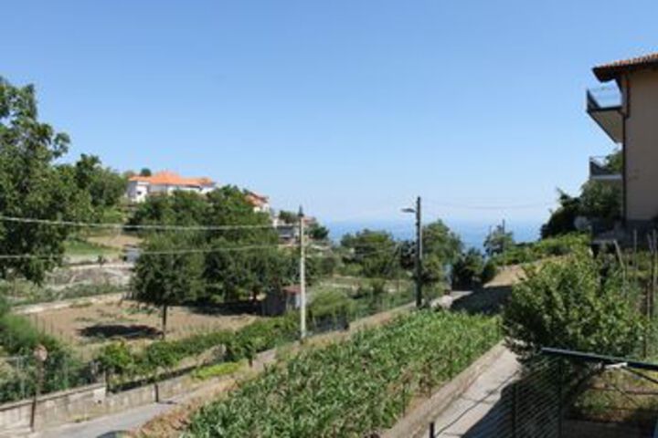 Hotel View 255 of 256