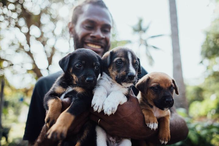 Pet Friendly 35 of 74