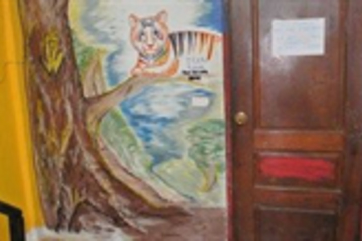 Photo 4