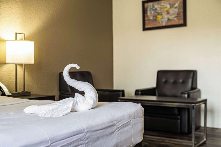 1 King Bed Promotional (15 of 28)