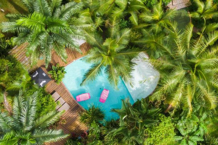 Image of Monkey Lodge Panama