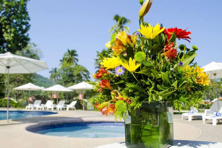 Hotel with Pool