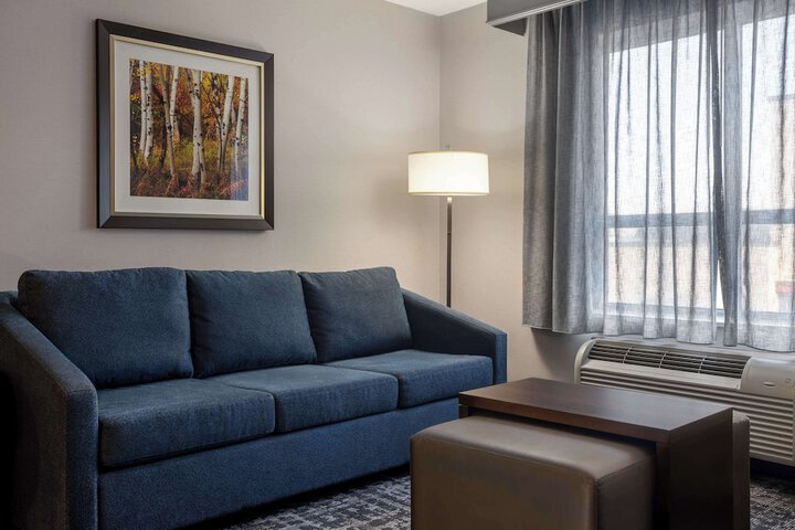 1 King Bed Studio Suite (4 of 22)
