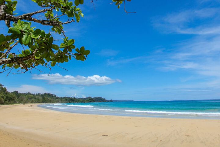 Beach 78 of 99