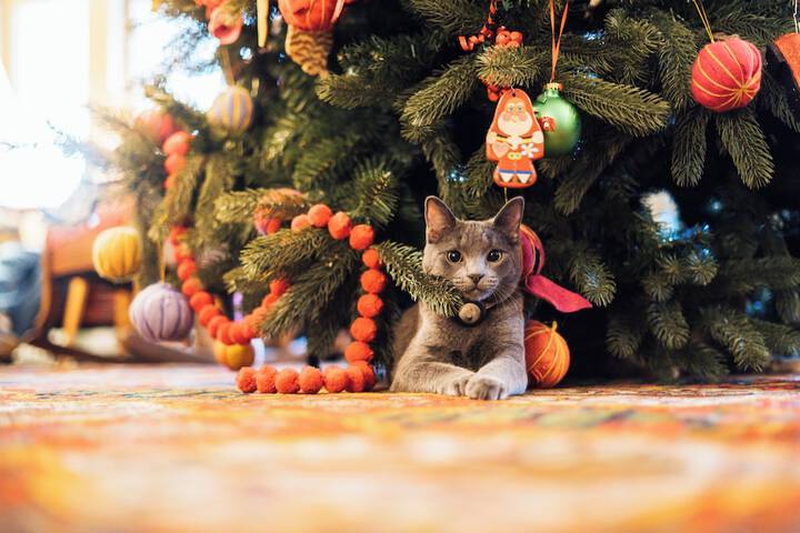 Hotel Interior 3 of 168