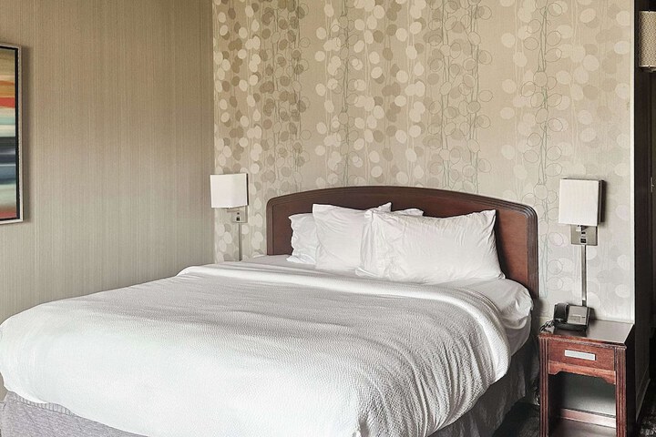 1 King Bed (3 of 13)