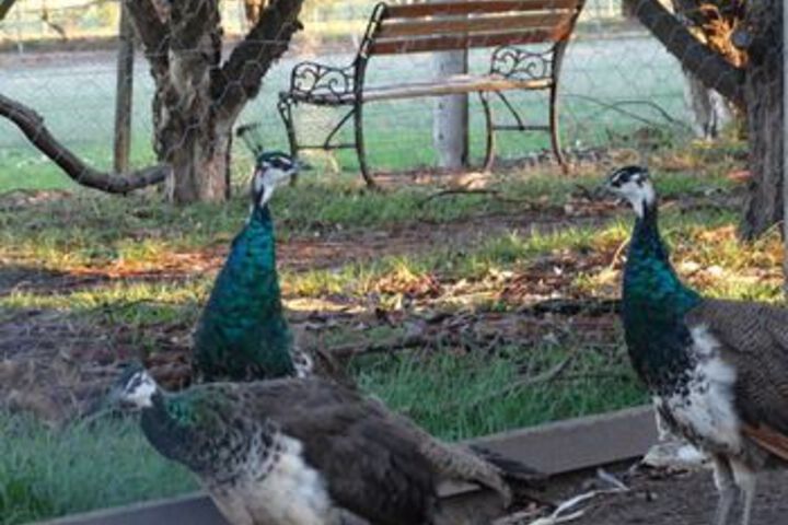 Hotel Exterior 10 of 34