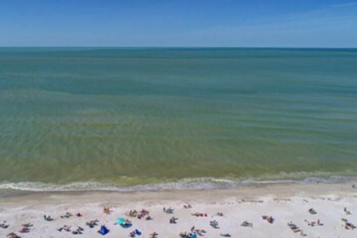 Beach 34 of 67