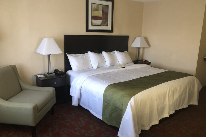 1 King Bed (2 of 10)