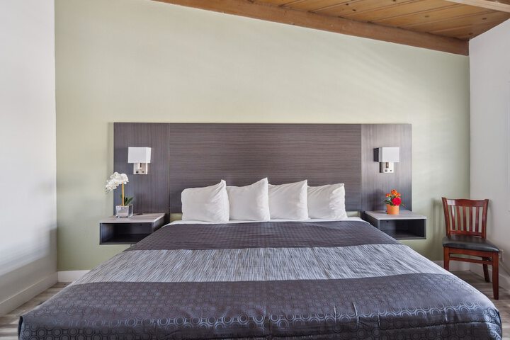 Standard | King Bed (7 of 10)