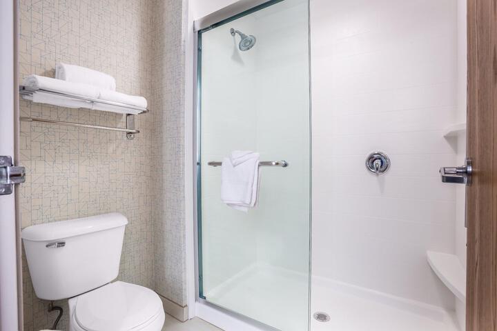 1 King Standard Mobility Accessible Tub (12 of 14)