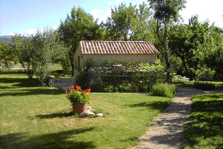 Photo 23