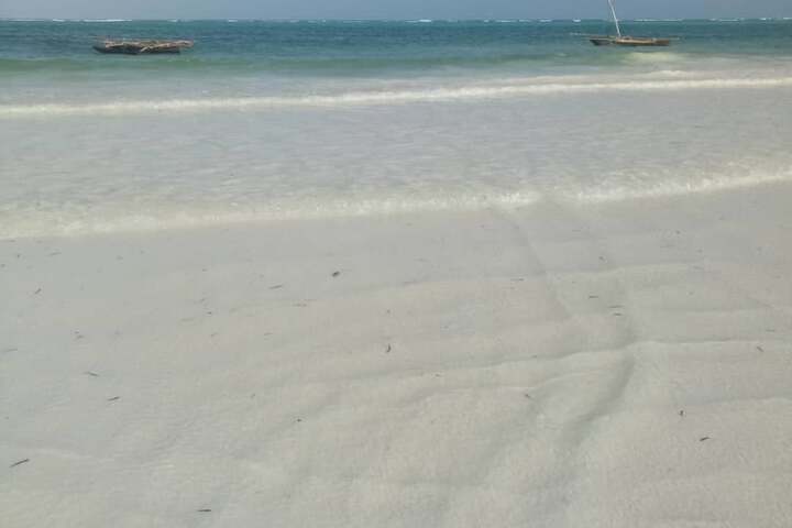 Beach 83 of 98