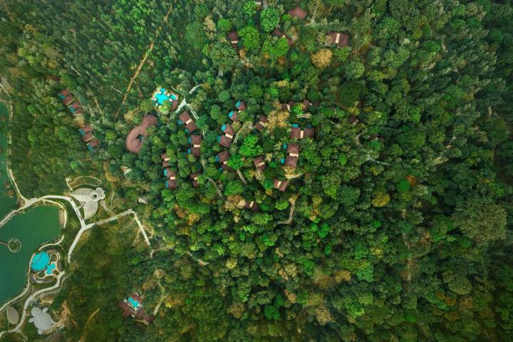 Timbertales Luxury Resort Coorg in Madikeri