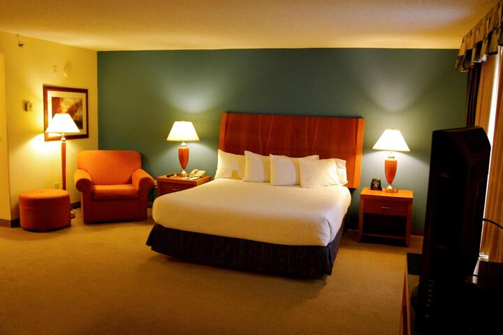 1 King Bed (5 of 10)
