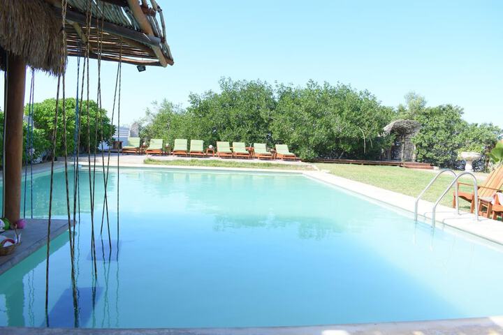 Pool 46 of 89