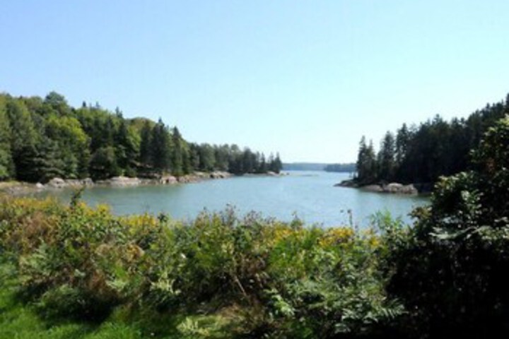 Property Grounds 13 of 36