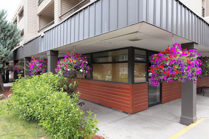 Property Grounds 53 of 72