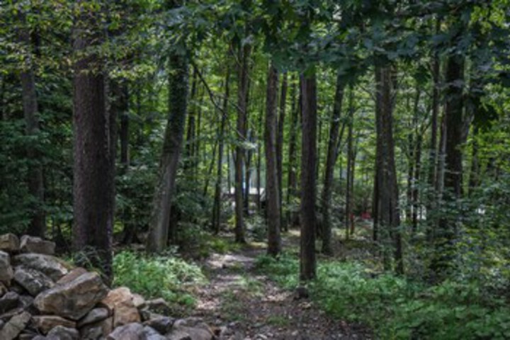 Property Grounds 27 of 36