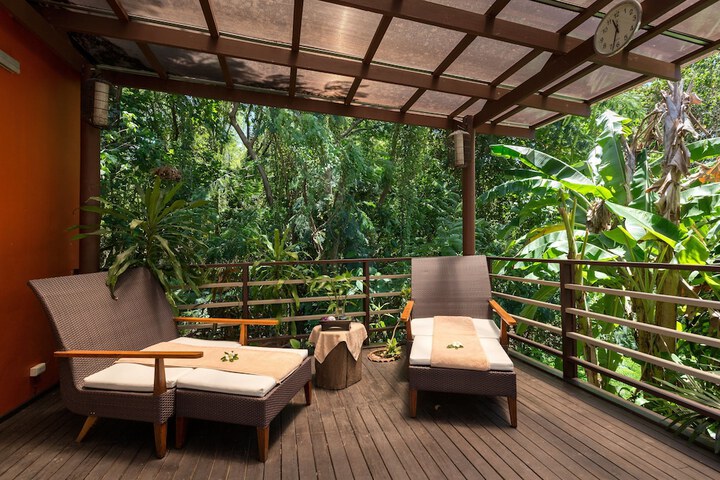 Wellness Treatments