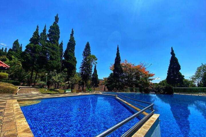 Pool 38 of 53