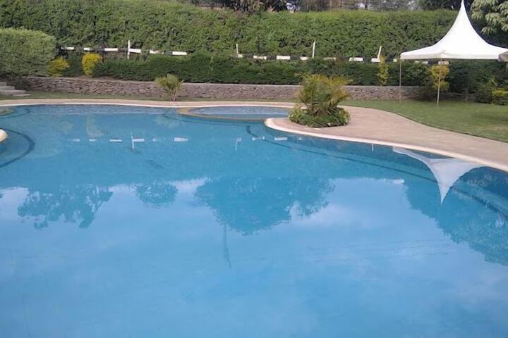 Pool 28 of 99