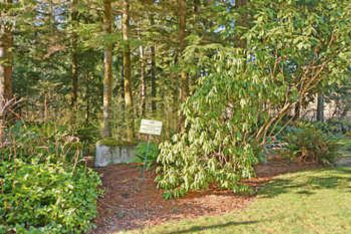Property Grounds 21 of 24