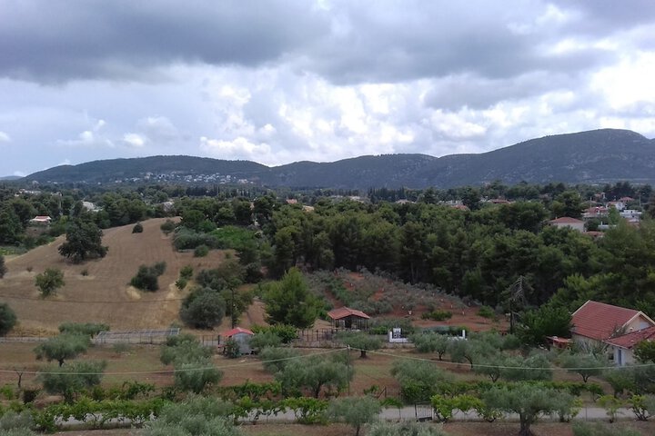 Hotel View 24 of 24