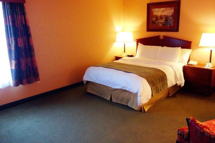1 Bedroom Queen Bed (8 of 10)