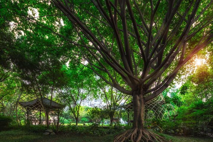 Rongtong Wangjiang Hotel Chengdu