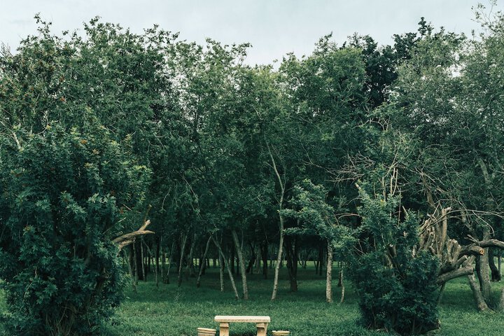 Property Grounds 16 of 26