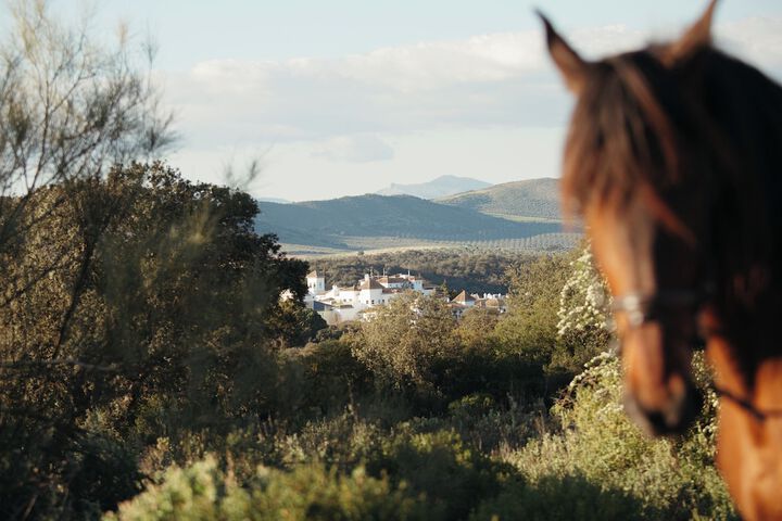 Finca la Bobadilla Leading Hotels of the World in Loja