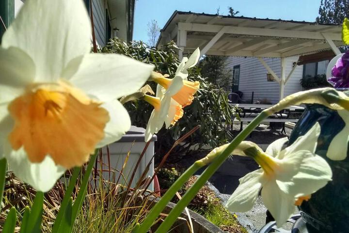 Photo 23