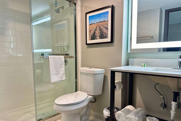 1 King Bed Mobility Accessible Roll in Shower (10 of 18)