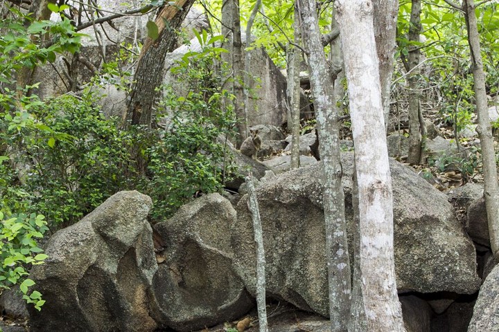 Property Grounds 16 of 19
